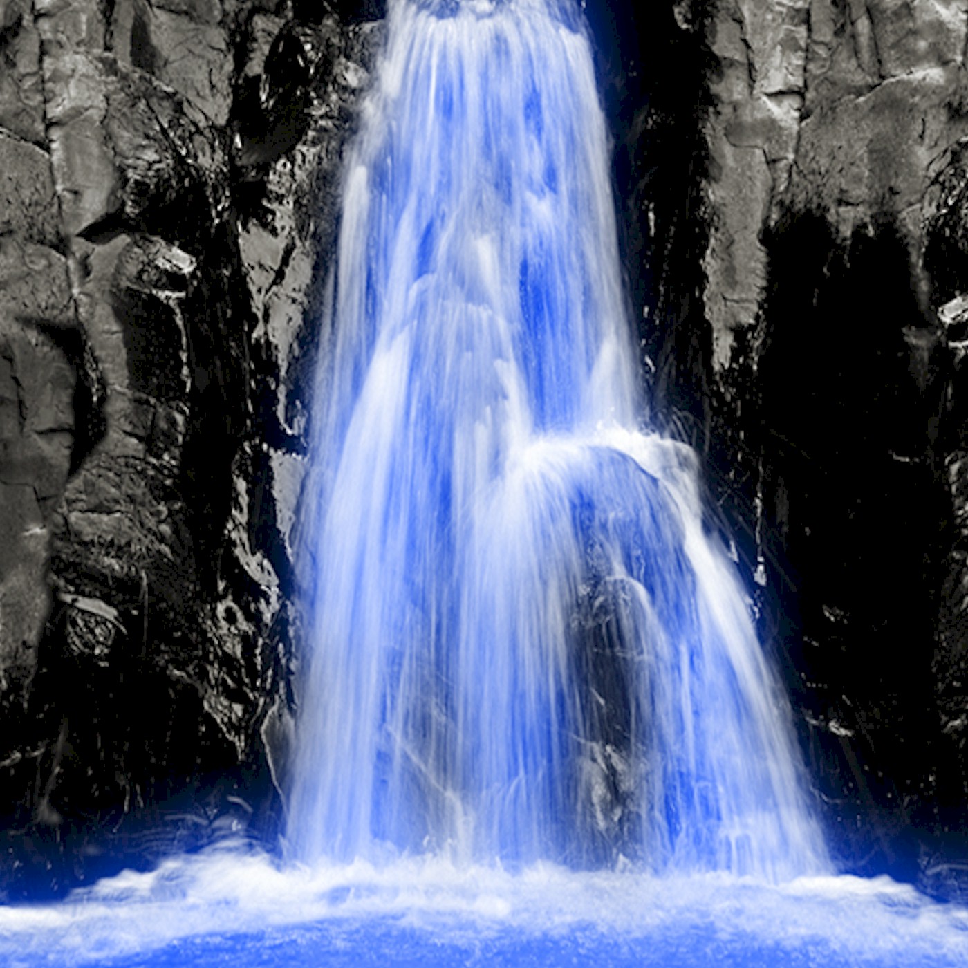 The Fullness of Christ